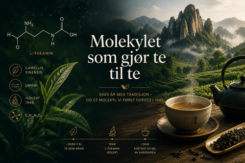 Featured Image